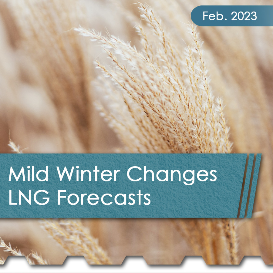 mild winter lng thum - The Chemical Company