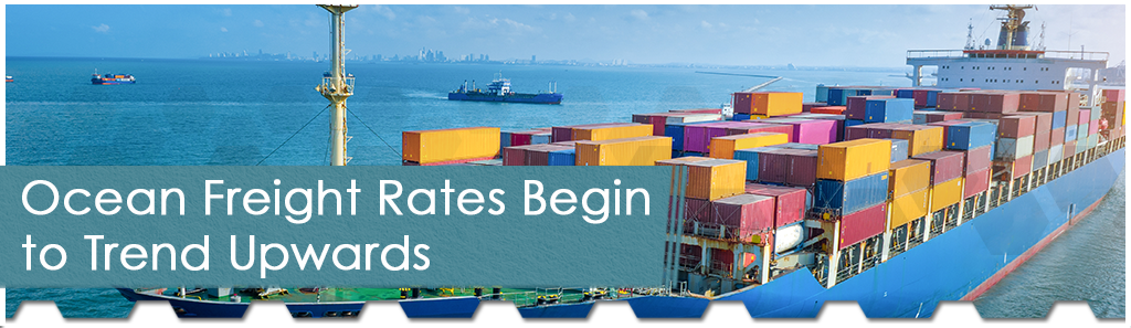 Ocean Freight Rates Begin to Trend Upwards horizontal Thumbnail - The Chemical Company